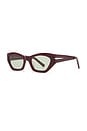 view 2 of 3 Witchcraft Tinted Sunglasses in Burgundy & Olive Lens