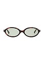 view 1 of 3 Orchid Tinted Sunglasses in Tortoise & Olive Lens