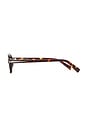 view 3 of 3 Orchid Tinted Sunglasses in Tortoise & Olive Lens