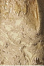 view 4 of 4 Blair Dress in Gold