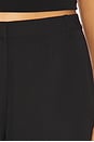 view 6 of 6 St Agni 90s Split Leg Pants in Black