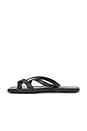 view 5 of 5 PASADOR  SOFT STRAP  in Black