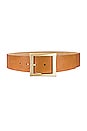 view 1 of 3 Della Belt in Tan & Gold