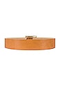 view 2 of 3 Della Belt in Tan & Gold