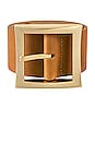 view 3 of 3 Della Belt in Tan & Gold