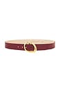 view 1 of 3 Gold Finish Belt in Burgundy
