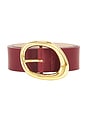 view 3 of 3 Gold Finish Belt in Burgundy