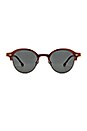 view 1 of 3 Starr in Havana Tortoise