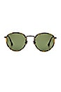 view 1 of 3 Bryce in Tokyo Tortoise