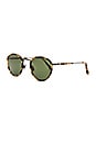 view 2 of 3 Bryce in Tokyo Tortoise