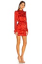 view 2 of 4 Rina B Dress in Scarlet