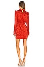 view 3 of 4 Rina B Dress in Scarlet