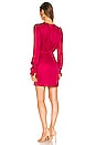 view 3 of 3 Debbie Dress in Cherry