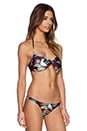 view 3 of 4 Cactua Bikini Top in Tropical