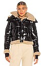 view 2 of 6 Ryan Shearling Trimmed Fur Jacket in Jet & Tan