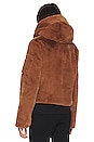 view 4 of 7 Faux Fur Nala Jacket in Caramel