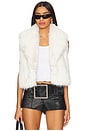 view 1 of 4 Vanessa Faux Fur Vest in Ivory