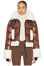 view 1 of 6 CHAQUETA HALLIE in Cognac