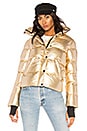 view 2 of 5 Isabel Jacket in Gold