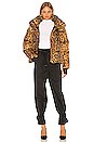 view 6 of 6 Elsa Puffer Jacket in Leopard
