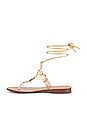 view 5 of 5 Deirdre Sandal in Goldmine