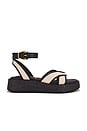 view 1 of 5 Nylie Sandal in Natural & Black