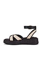view 5 of 5 Nylie Sandal in Natural & Black