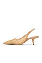 view 5 of 5 SALTO DE TELA TIPO SLINGBACK BIANKA in Hazelwood