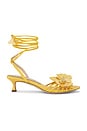 view 1 of 5 Carla Sandal in Sunflower