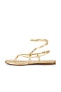 view 5 of 5 SANDALIA CLARRA in Amber Gold