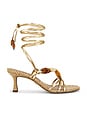 view 1 of 5 Paloma Sandal in Amber Gold