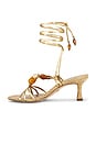 view 5 of 5 Paloma Sandal in Amber Gold