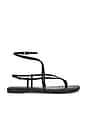 view 1 of 5 SANDALES CLARRA in Black