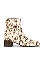 view 1 of 5 BOTA PAGE  in Taupe & Ivory