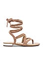 view 1 of 5 Davina Sandal in Oatmeal