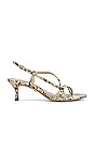 view 1 of 5 Judy Sandal in Beach Multi Snake