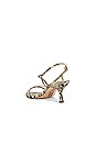 view 3 of 5 Judy Sandal in Beach Multi Snake