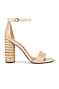 view 1 of 5 Yamille Sandal in Sand Chevron