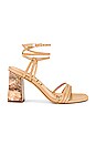 view 1 of 5 Doriss Sandal in Classic Nude