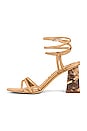 view 5 of 5 Doriss Sandal in Classic Nude