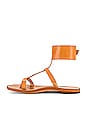 view 5 of 5 Mollie Sandal in Natural