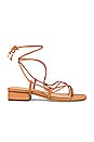 view 1 of 5 Daffy Sandal in Light Cuoio Brown