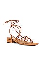 view 2 of 5 Daffy Sandal in Light Cuoio Brown