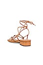 view 3 of 5 Daffy Sandal in Light Cuoio Brown