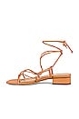 view 5 of 5 Daffy Sandal in Light Cuoio Brown