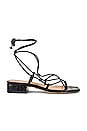 view 1 of 5 Daffy Sandal in Black