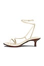 view 5 of 5 Dominique Sandal in Modern Ivory