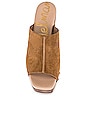 view 4 of 5 Josselyn Platform in Whiskey