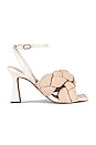 view 1 of 5 Courtney Sandal in Summer Sand & Modern Ivory