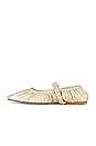 view 5 of 5 Zadie Ballet Flat in Gold
